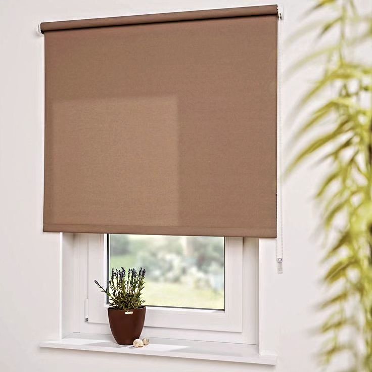 Windows Cover